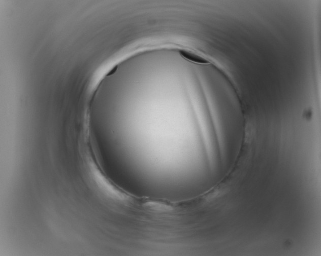 X0000113641524200910021904