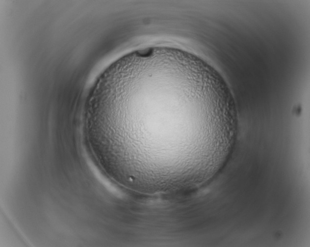 X0000113641525200910021904