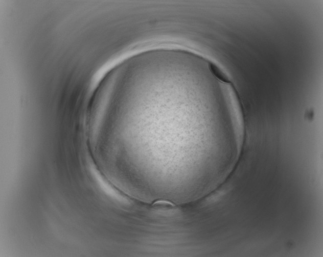 X0000113641526200910021904