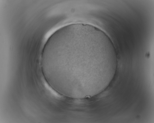 X0000113641527200910021904