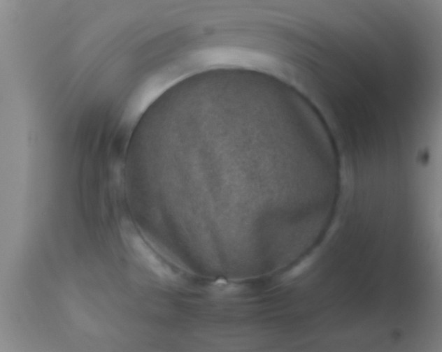 X0000113641529200910021904