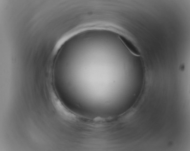 X0000113641530200910021904