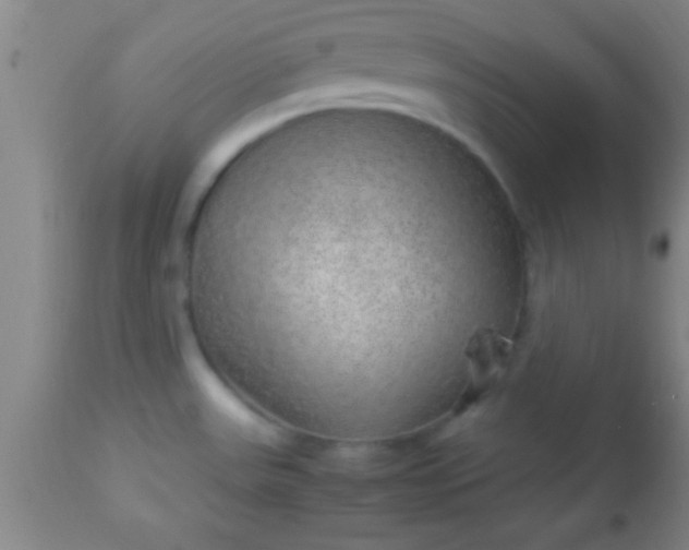 X0000113641531200910021904