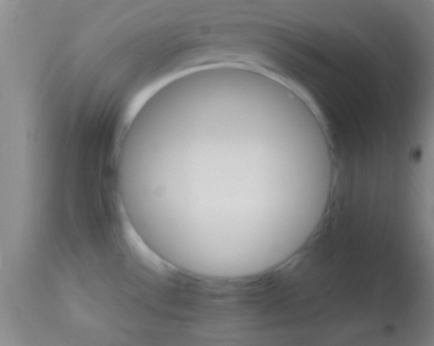 X0000113641532200910021904