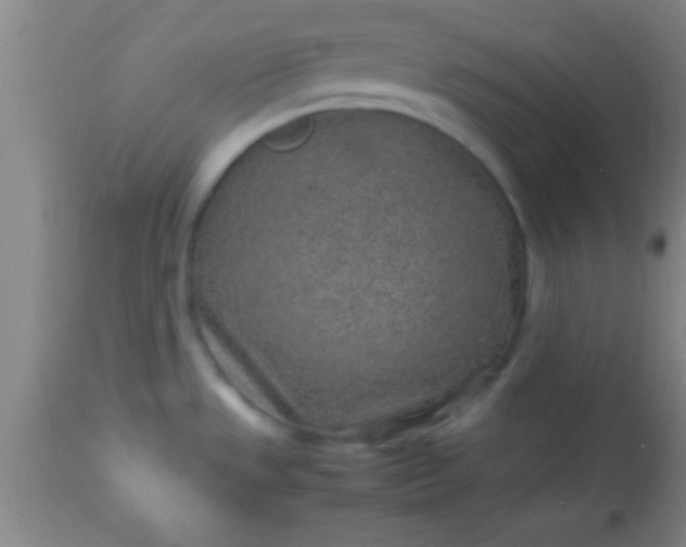 X0000113641533200910021904