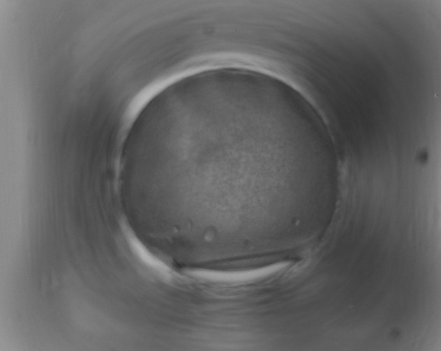 X0000113641535200910021904