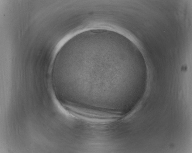 X0000113641536200910021904