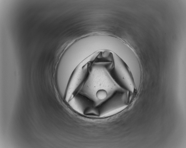 X0000113640001200910091546