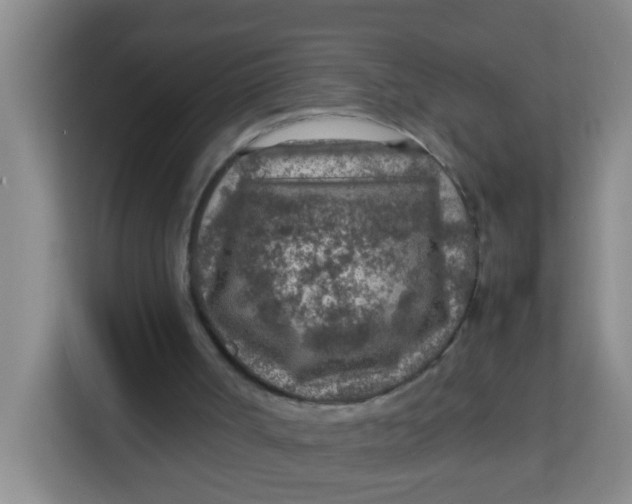 X0000113640002200910091546