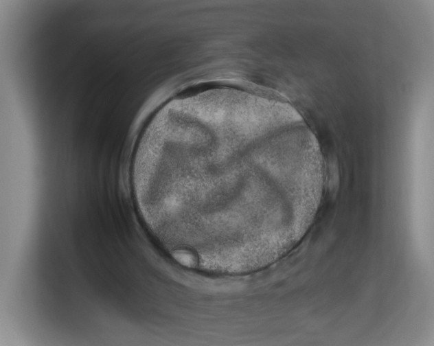 X0000113640004200910091546