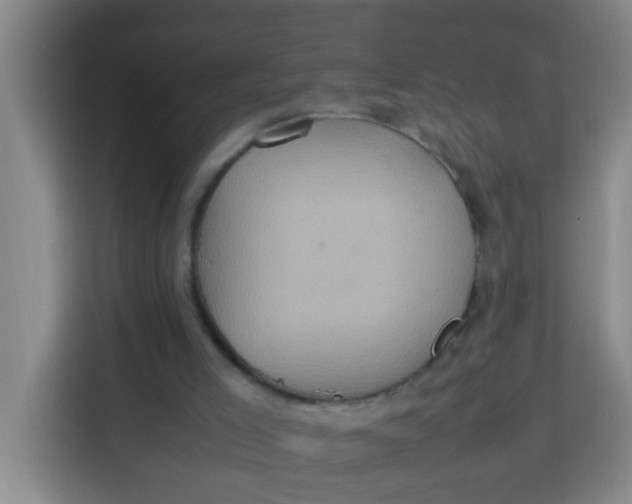 X0000113640005200910091546