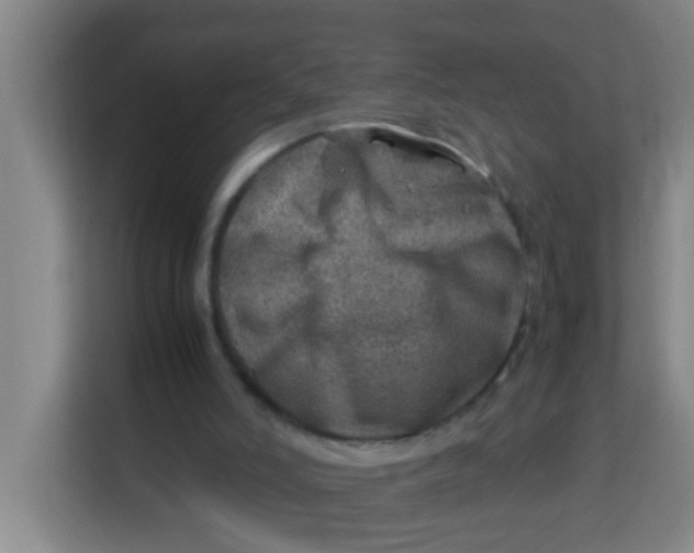 X0000113640006200910091546