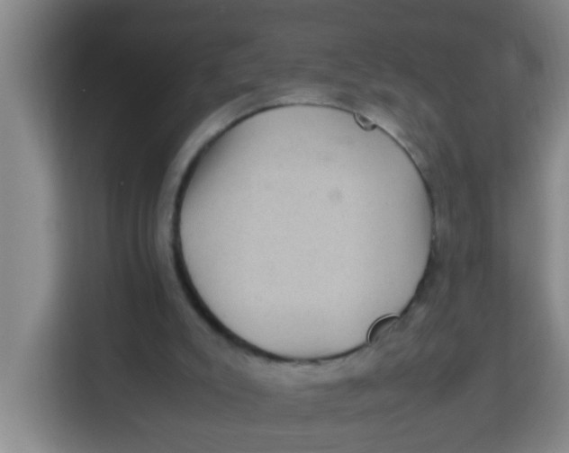 X0000113640007200910091546