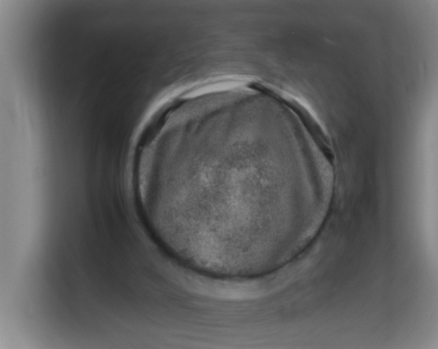 X0000113640008200910091546