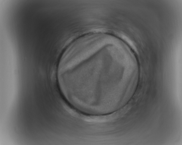 X0000113640009200910091546