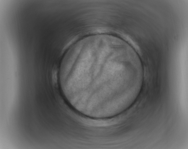 X0000113640010200910091546