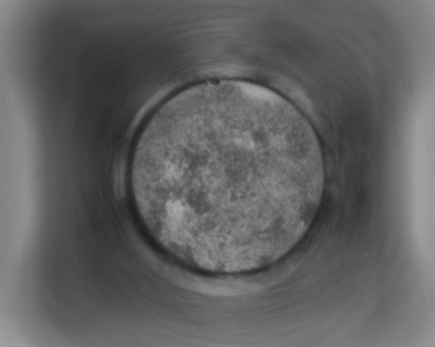 X0000113640012200910091546