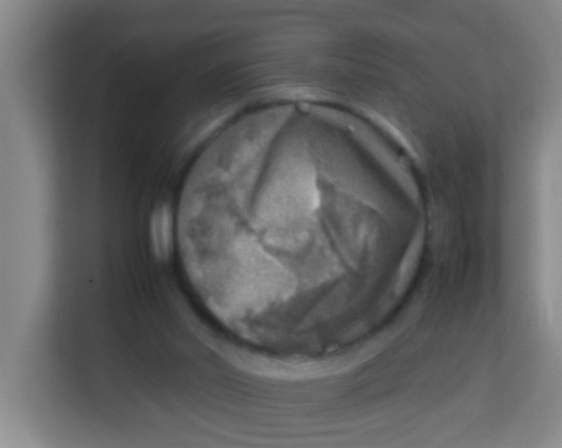 X0000113640014200910091546