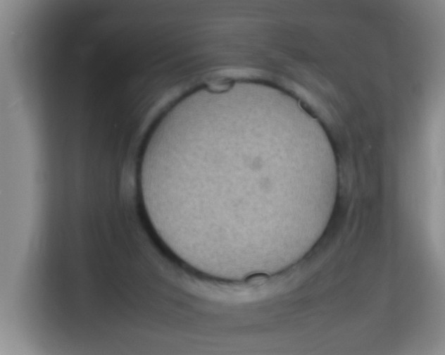 X0000113640015200910091546