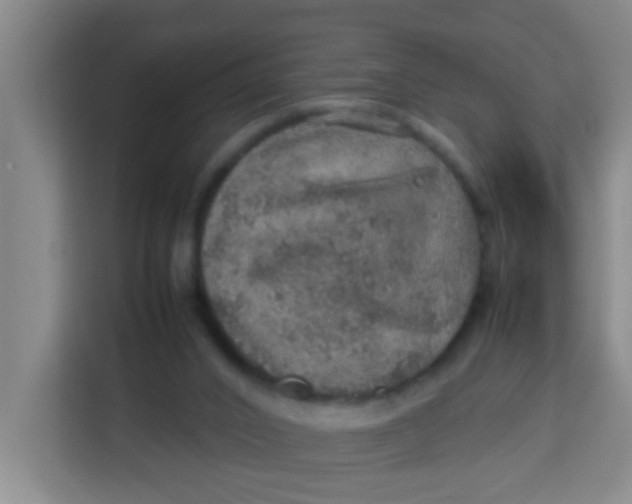 X0000113640016200910091546