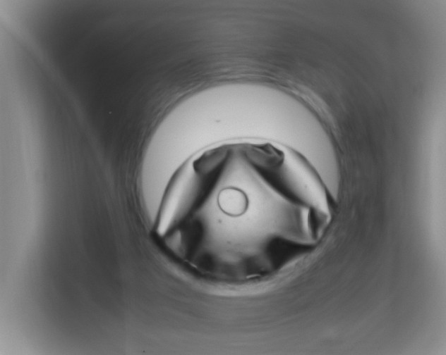 X0000113640017200910091546