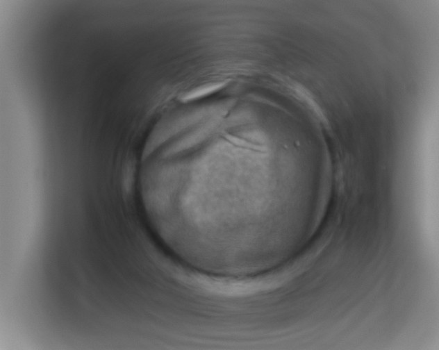 X0000113640018200910091546