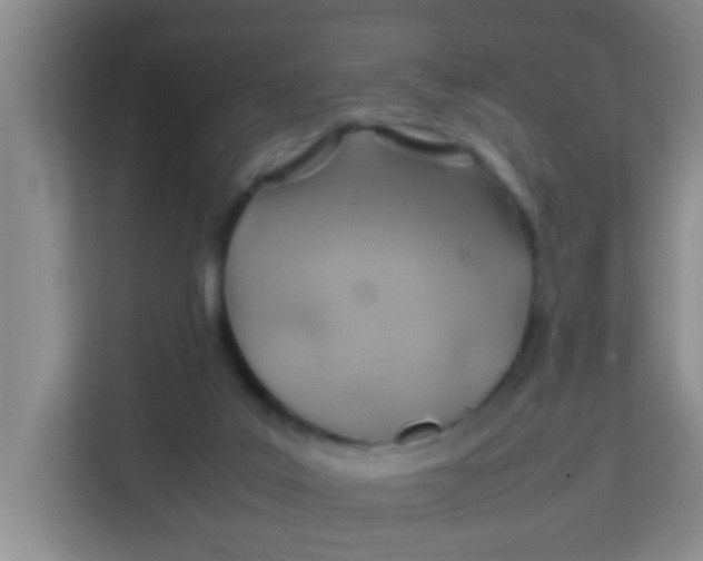 X0000113640019200910091546