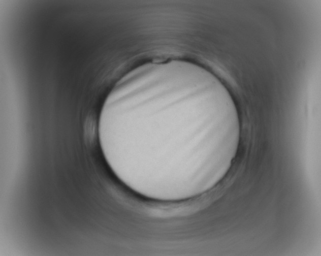 X0000113640021200910091546