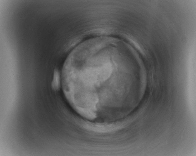 X0000113640022200910091546