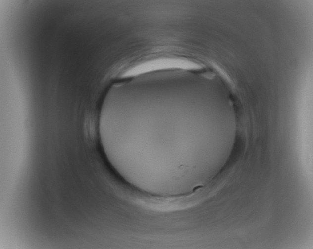 X0000113640023200910091546