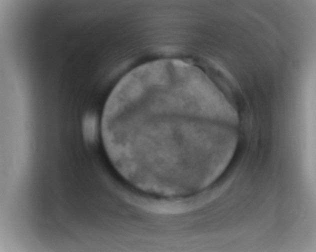 X0000113640024200910091546