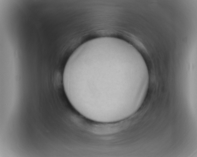 X0000113640025200910091546