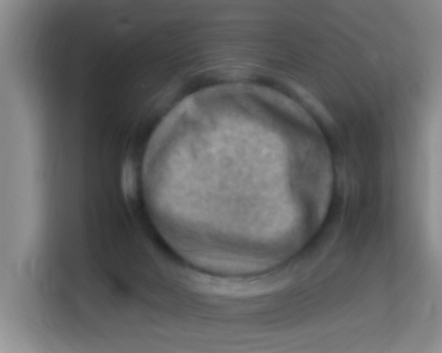 X0000113640026200910091546