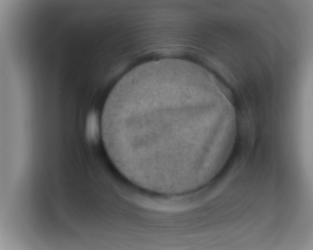 X0000113640028200910091546