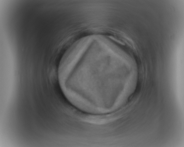 X0000113640029200910091545