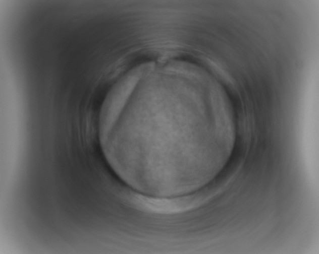 X0000113640030200910091545