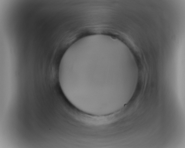 X0000113640031200910091545