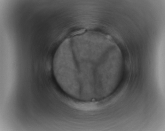 X0000113640032200910091545