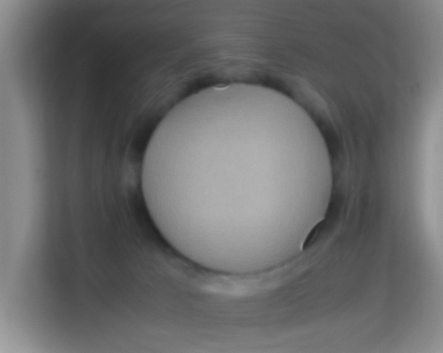 X0000113640033200910091545