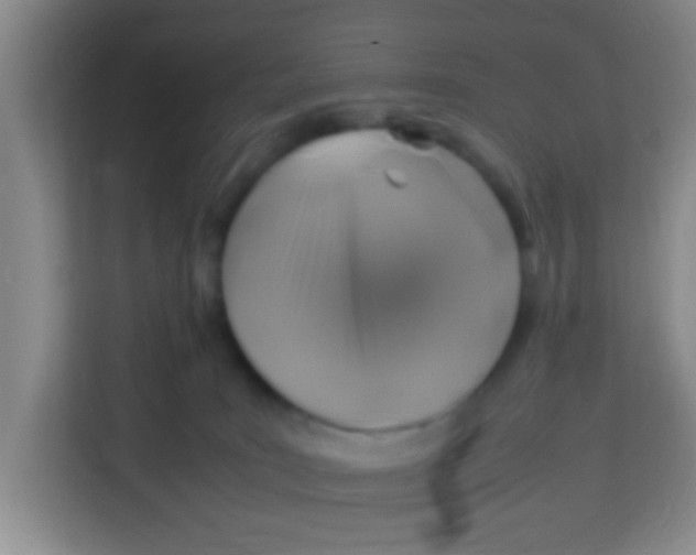 X0000113640035200910091545