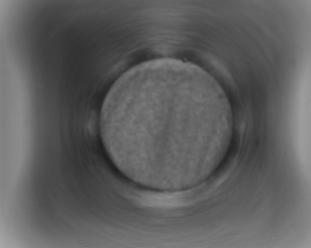 X0000113640036200910091545