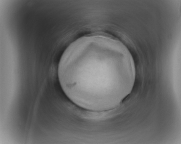 X0000113640037200910091545