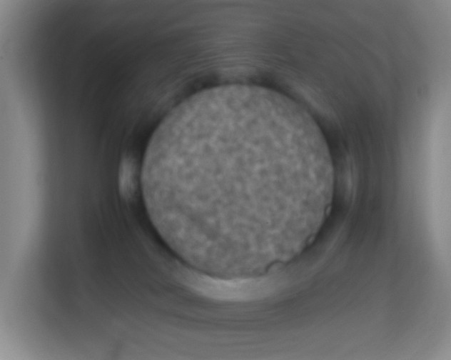 X0000113640038200910091545