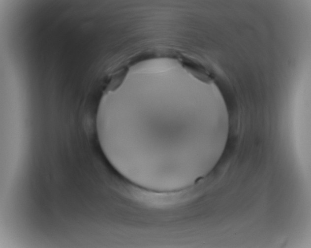 X0000113640039200910091545