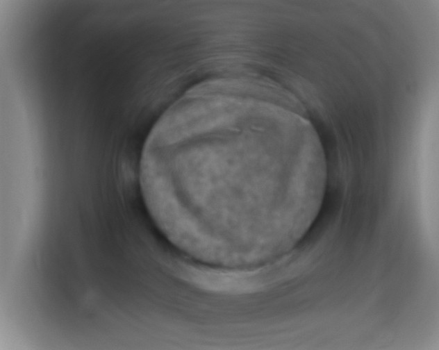 X0000113640040200910091545