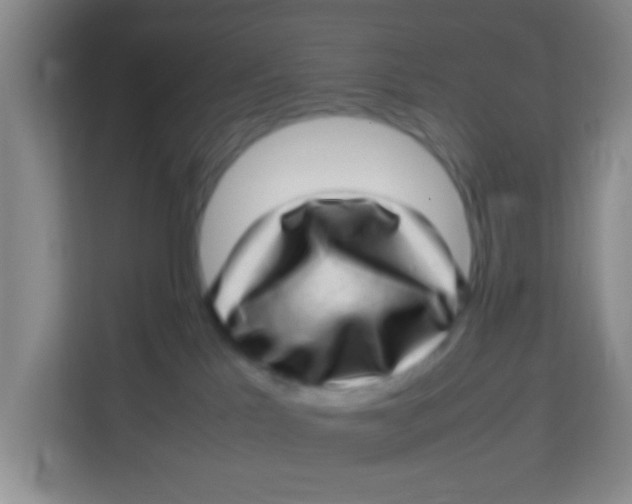 X0000113640041200910091545