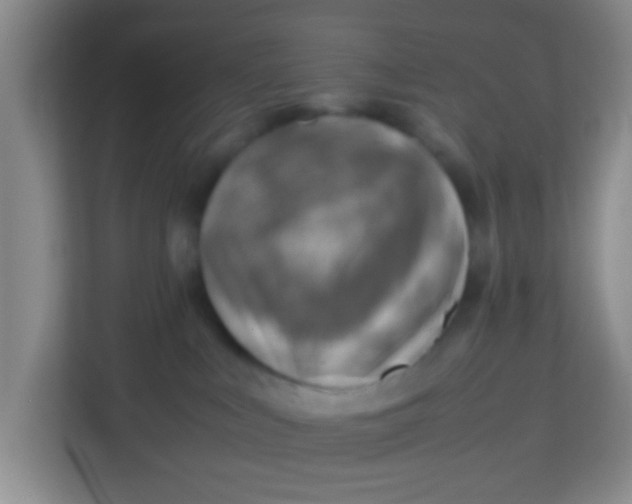 X0000113640043200910091545