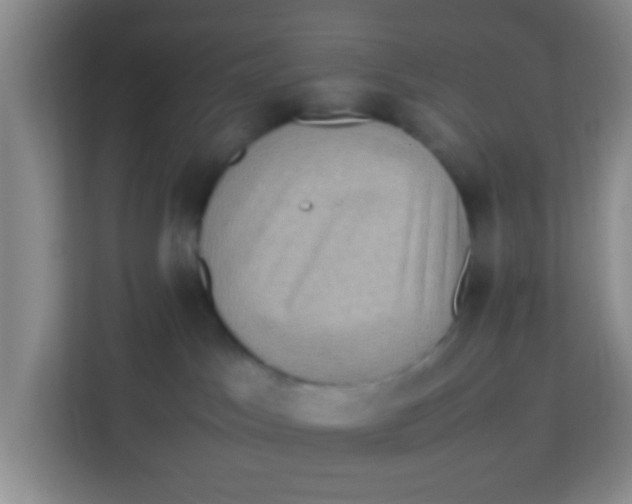 X0000113640045200910091545