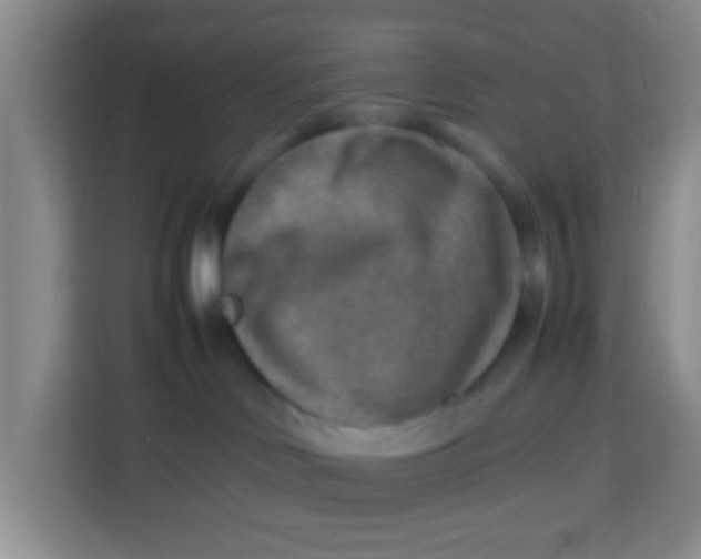 X0000113640046200910091545