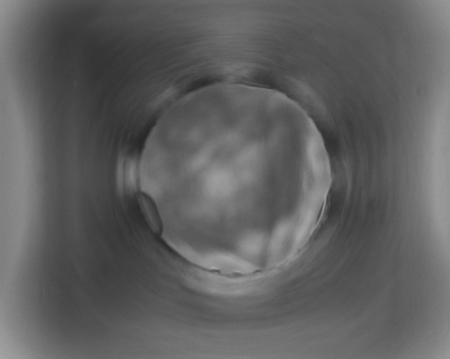 X0000113640047200910091545